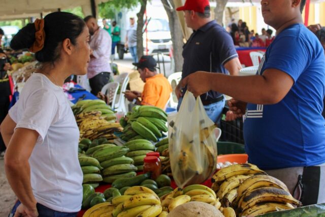 Altos-del-sol-amada-mercado