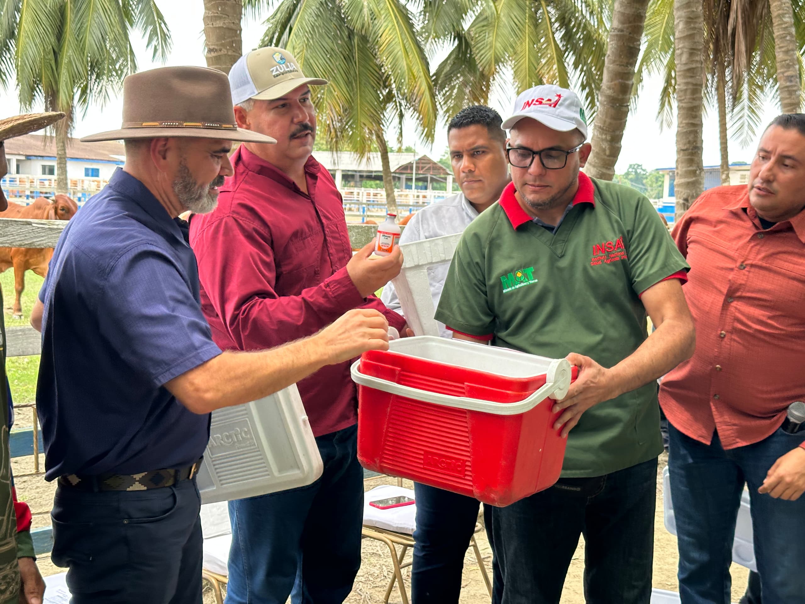 COLÓN: Gobernador Caldera y Ministro Padrino despliegan Plan Nacional de Vacunación antiaftosa