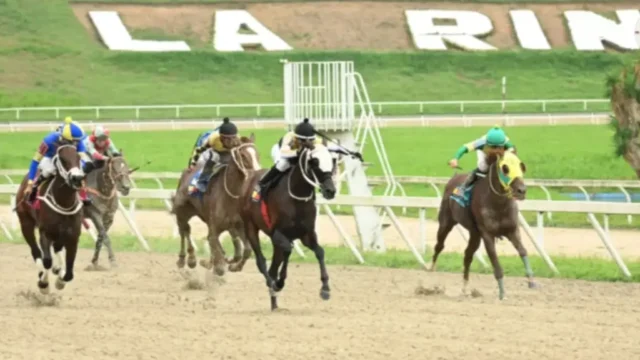 Hipodromo-La-Rinconada14