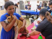 Vacunación antirrábica de mascotas llega a parroquia Juana de Ávila
