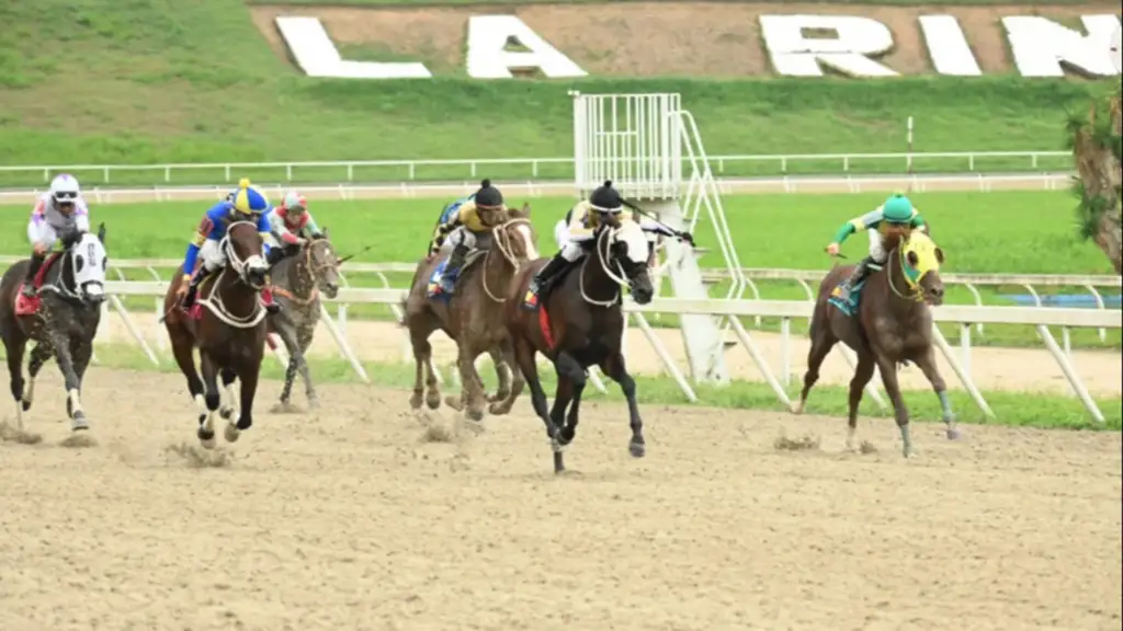 LA RINCONADA: Fatima Blush, Black Stone y Ekati King ganaron las más importantes