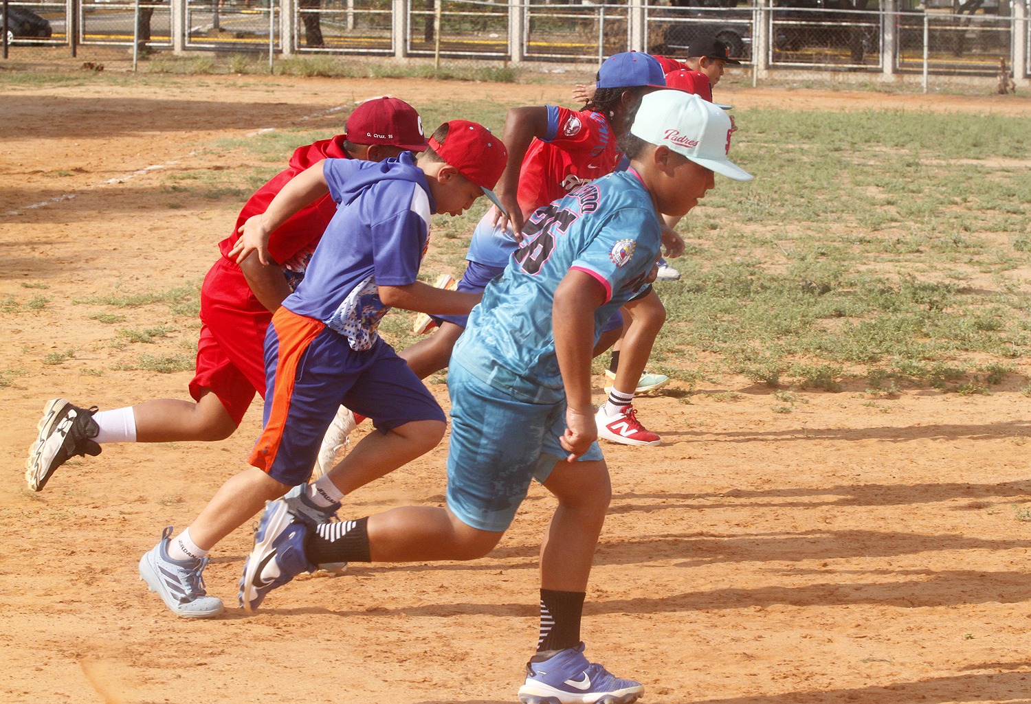 Aracelis León, presidenta Fevebeisbol: «El béisbol menor es la raíz para seguir dando alegrías al país»